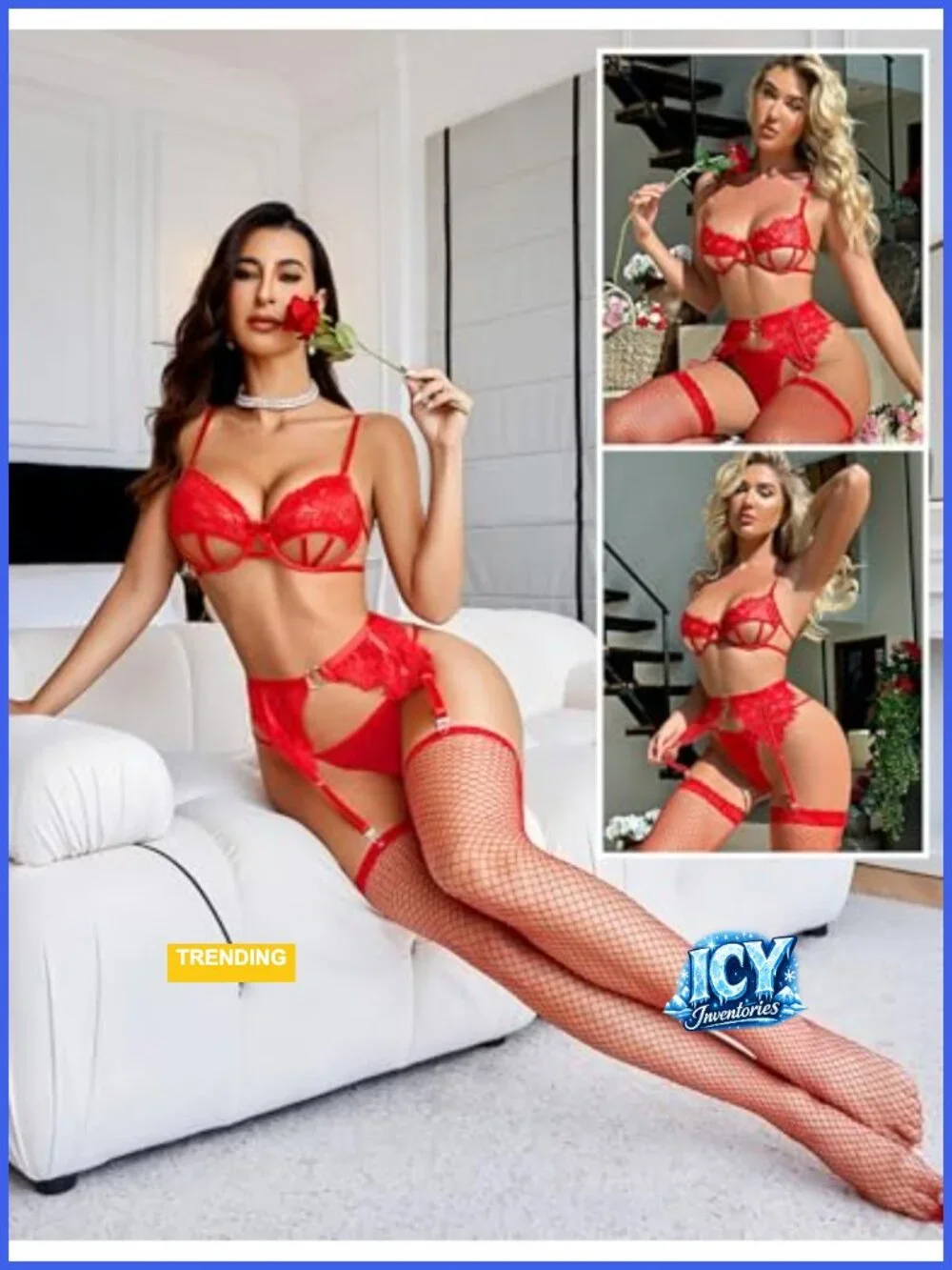 Sexy Underwire Lace Lingerie Set for Women 4 Piece with Garter and Fishnet